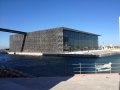 Mucem (1)_900